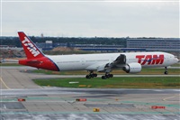 Chalo Canary Islands Spotting. Click to see full size photo