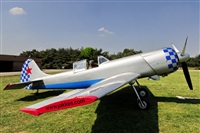 Robert J Cijntje. Click to see full size photo