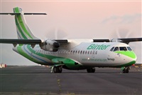 Javier de la Cruz - CANARY ISLANDS SPOTTING. Click to see full size photo
