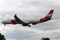 Jos Miguel Bernases - Noisy Spotters. Click to see full size photo