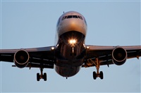 Rodrigo Carvalho - Noisy Spotters. Click to see full size photo