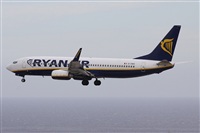 Alfonso Sols - Asociacin Canary Islands Spotting. Haz click para ampliar