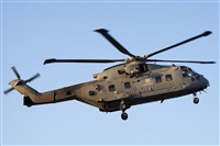 Carlos Zamora - La Mancha Spotters. Click to see full size photo