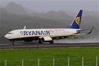 Miguel A. gueda Rguez.  (CANARY ISLANDS SPOTTING). Click to see full size photo