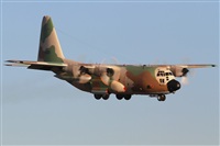 Ricardo Sanabria - AIRE.org. Click to see full size photo
