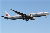 Miguel Alia - Noisy Spotters. Click to see full size photo