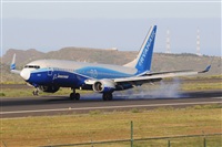 Miguel A. gueda Rguez.  (CANARY ISLANDS SPOTTING). Click to see full size photo