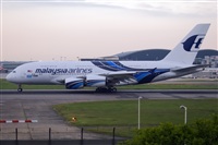 Javier de la Cruz - CANARY ISLANDS SPOTTING. Click to see full size photo
