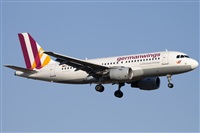 Miguel Alia - Noisy Spotters. Click to see full size photo
