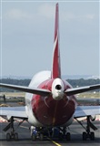 Miguel Alia - Noisy Spotters. Click to see full size photo