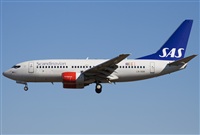 Miguel Alia - Noisy Spotters. Click to see full size photo