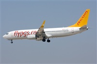 Ayoze Santana Mendez - Canary Islands Spotting. Click to see full size photo