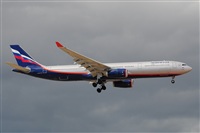 Miguel A. gueda Rguez.  (CANARY ISLANDS SPOTTING). Click to see full size photo