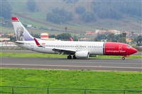 Miguel A. gueda Rguez.  (CANARY ISLANDS SPOTTING). Click to see full size photo
