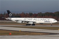 Miguel Alia - Noisy Spotters. Click to see full size photo