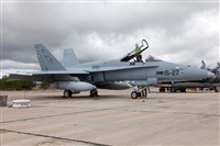 Florencio Martn Melin - Lanzarote Spotters. Click to see full size photo