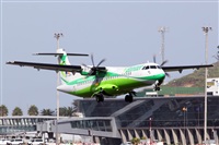 ŠNacho Rodriguez - Canary Islands Spotting. Click to see full size photo ŠNacho Rodriguez - Canary Islands Spotting. Click to see full size photo