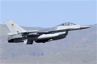 Paco Muoz Arencibia - Gran Canaria Spotters. Click to see full size photo