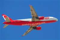 Miguel A. gueda Rguez.  (CANARY ISLANDS SPOTTING). Haz click para ampliar