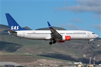 Bartolom Fernndez - Gran Canaria Spotters. Click to see full size photo