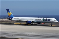 ©Alfonso Solís - Asociación Canary Islands Spotting. Click to see full size photo ©Alfonso Solís - Asociación Canary Islands Spotting. Click to see full size photo