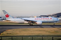Miguel A. gueda Rguez.  (CANARY ISLANDS SPOTTING). Click to see full size photo