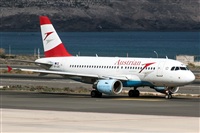 Bartolom Fernndez - Gran Canaria Spotters. Click to see full size photo