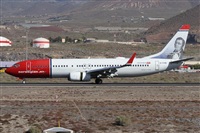 Alfonso Sols - Asociacin Canary Islands Spotting. Click to see full size photo