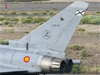 Paco Muoz Arencibia - Gran Canaria Spotters. Click to see full size photo