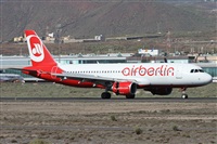 ©Alfonso Solís - Asociación Canary Islands Spotting. Click to see full size photo ©Alfonso Solís - Asociación Canary Islands Spotting. Click to see full size photo