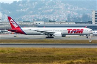 Naoto Goto - South American Spotters Asu-Py. Click to see full size photo
