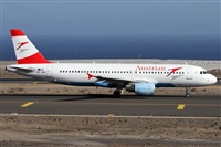 Alfonso Sols - Asociacin Canary Islands Spotting. Click to see full size photo
