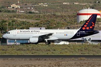 Alfonso Sols - Asociacin Canary Islands Spotting. Click to see full size photo