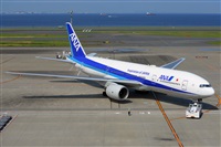 Miguel A. gueda Rguez.  (CANARY ISLANDS SPOTTING). Click to see full size photo