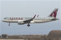 Adolfo Bento - Gran Canaria Spotters. Click to see full size photo