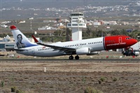 ©Alfonso Solís - Asociación Canary Islands Spotting. Click to see full size photo ©Alfonso Solís - Asociación Canary Islands Spotting. Click to see full size photo