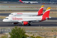 Miguel A. gueda Rguez.  (CANARY ISLANDS SPOTTING). Haz click para ampliar