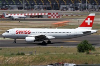 ©Alfonso Solís - Asociación Canary Islands Spotting. Click to see full size photo ©Alfonso Solís - Asociación Canary Islands Spotting. Click to see full size photo