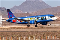 Javier de la Cruz - CANARY ISLANDS SPOTTING. Haz click para ampliar
