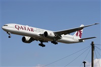 Alfonso Sols - Asociacin Canary Islands Spotting. Haz click para ampliar