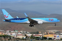 Miguel A. gueda Rguez.  (CANARY ISLANDS SPOTTING). Click to see full size photo