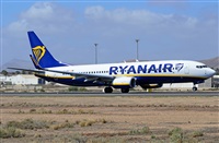 Luis Rguez - La Palma Spotting. Haz click para ampliar