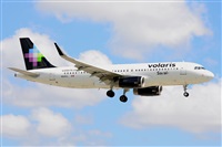 Miguel A. gueda Rguez.  (CANARY ISLANDS SPOTTING). Click to see full size photo