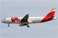 Alfonso Sols - Asociacin Canary Islands Spotting. Click to see full size photo