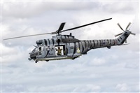 ©Manuel Acosta Zapata LMDT Spotters. Click to see full size photo ©Manuel Acosta Zapata LMDT Spotters. Click to see full size photo
