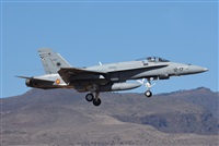 ©J. Victor Vega-Gran Canaria Spotters. Click to see full size photo ©J. Victor Vega-Gran Canaria Spotters. Click to see full size photo
