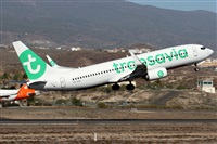 ©Alfonso Solís - Asociación Canary Islands Spotting. Click to see full size photo ©Alfonso Solís - Asociación Canary Islands Spotting. Click to see full size photo