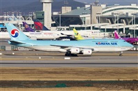 Rubn Gil - Noisy Spotters. Click to see full size photo