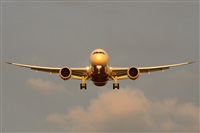 Miguel A. gueda Rguez.  (CANARY ISLANDS SPOTTING). Haz click para ampliar