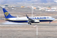 Miguel A. gueda Rguez.  (CANARY ISLANDS SPOTTING). Click to see full size photo